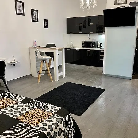 Luxury Studio Apartment