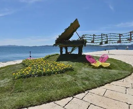 公寓 Luxury Studio