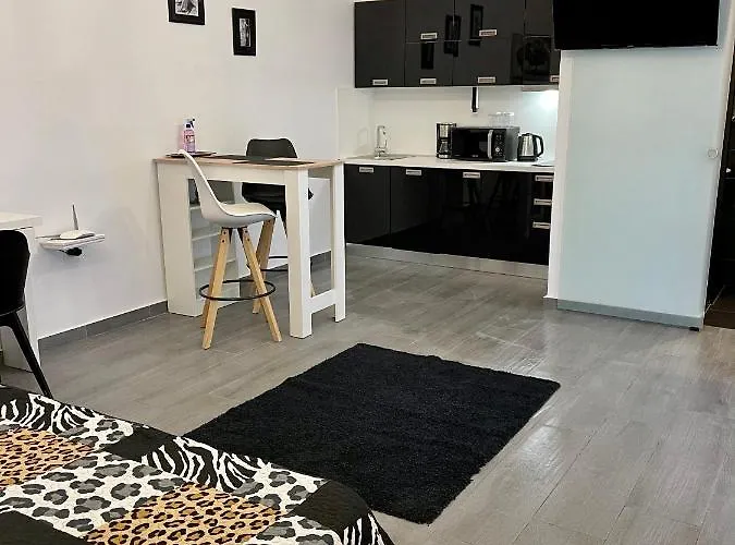 Luxury Studio Appartement